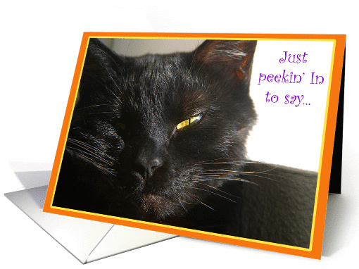 Black Cat Happy Birthday Card 234416