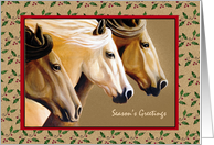 Horse Trio Christmas Cards