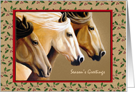 Horse Trio Christmas...