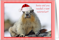 Humorous Squirrel Christmas Card