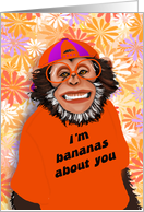 Humorous Monkey...