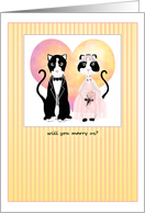Happy Cats Pastor Invitations Wedding Attendant Invitations Paper Greeting Cards
