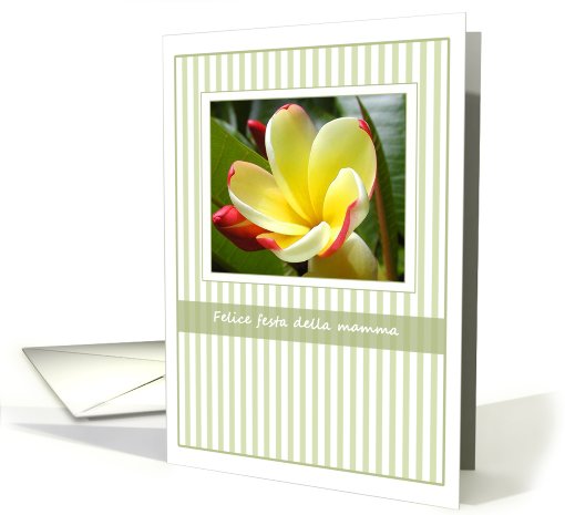 Garden Treasures Floral Italian Mother's Day Cards Paper card (403434)