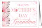 Pink Fantasy Grandmother Happy Mothers Day Cards Paper Greeting Cards