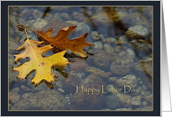 Autumn Joys Labor Day Paper Greeting Cards