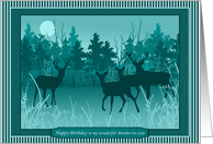 In the Still of the Night Brother In Law Birthday Cards Deer WildlifePaper Greeting Cards