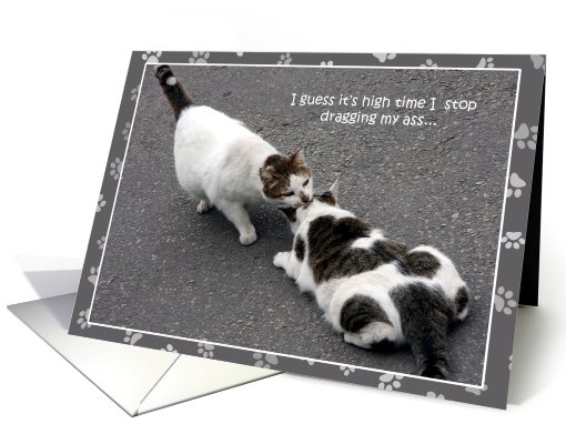 Humorous Cat Apology Cards Paper card (493521)