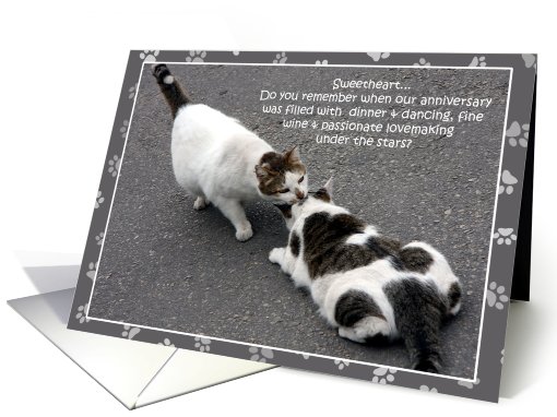 Humorous Cat Anniversary Cards For Husband Paper card (493528)