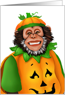 The Great Pumpkin Smiling Monkey Humorous Halloween Cards