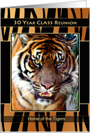 School Mascot 30 Year Class Reunion Invitations Cards