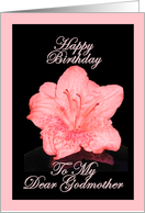 Happy Birthday My Dear Godmother - Verse Inside card