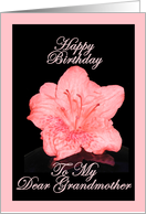 Happy Birthday My Dear Grandmother - Verse Inside card
