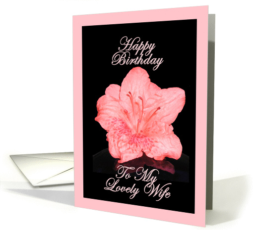 Happy Birthday To My Lovely Wife - Verse Inside card (194582)