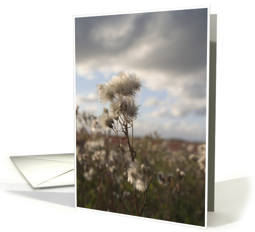 Facing the elements card (47942)