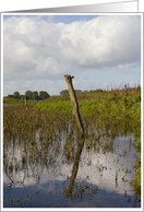 Dutch Scenery card