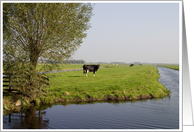 Dutch scenery card
