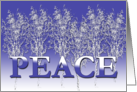 PEACE Holiday Card