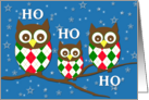Cute Christmas Owls in Argyle Sweaters, Ho Ho Ho card