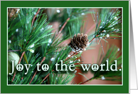 Joy to the World Peace Christmas Cards