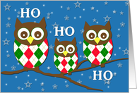 Cute Christmas Owls...