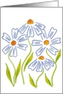 Daisies card