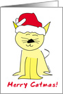 Christmas Cat in Santa Hat card