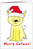 Christmas Cat in Santa Hat card