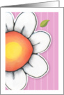Daisy Joy pink card