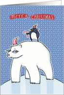 Polar Bear Christmas...