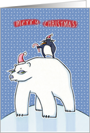 Polar Bear Christmas blue card