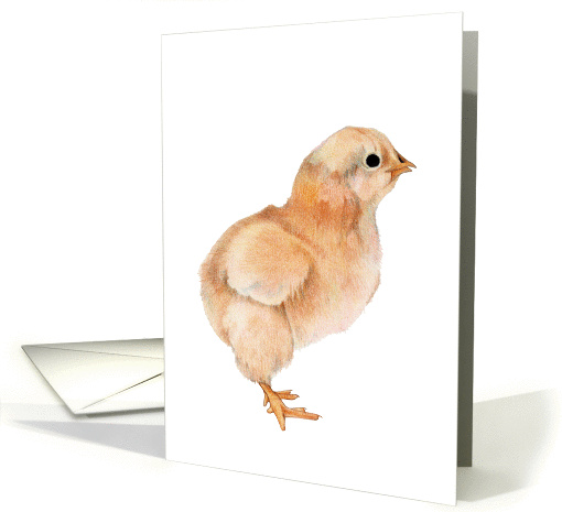 Baby Chick card (121701)
