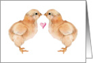 Baby Chick Love card
