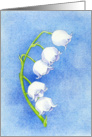 Lily of the Valley card