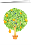 Any Occasion, Pear Tree, Blank Inside card