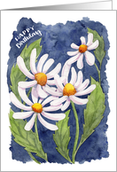 Darling Daisies Happy Birthday card