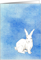 Rabbit Blue card