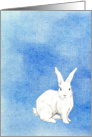 Rabbit Blue card