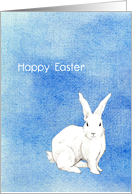 Rabbit Blue Easter