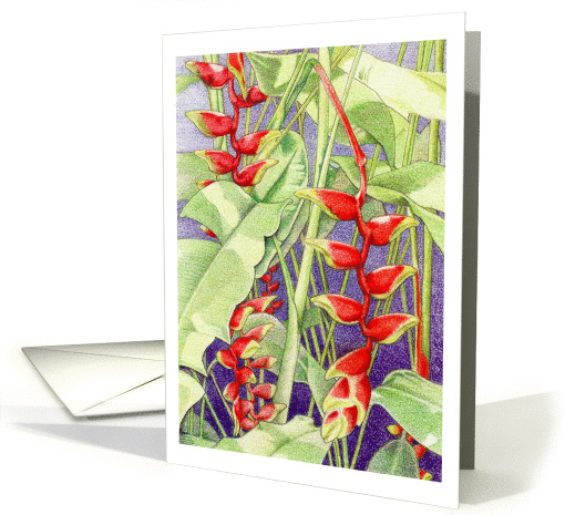 Heliconia card (197322)