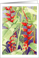 Heliconia card