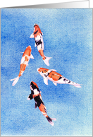 Floating Koi Blue card