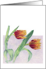 Tulips card