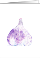 Purple Garlic card