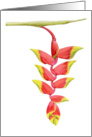 Heliconia Branch card