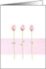 3 Pink Rosebuds card