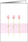 3 Pink Rosebuds card