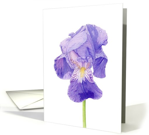 Purple Iris card (417806)