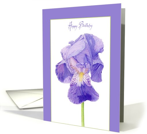 Purple Iris Birthday card (417807)