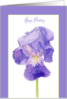Purple Iris Birthday card