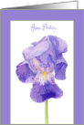 Purple Iris Birthday card